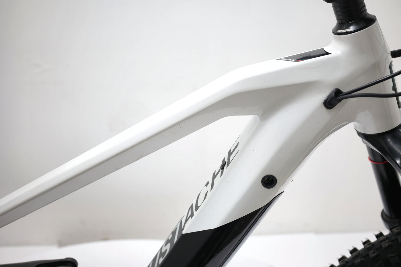 MOUSTACHE Samedi 29 Trail 4 2022 T.L