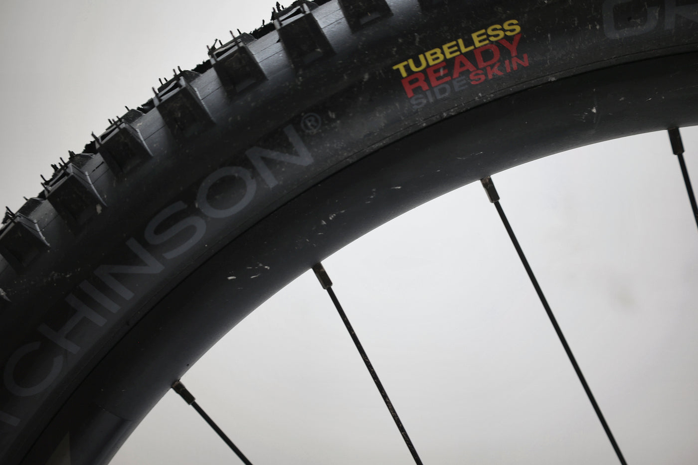 GIANT Reign 1 2024 T.L