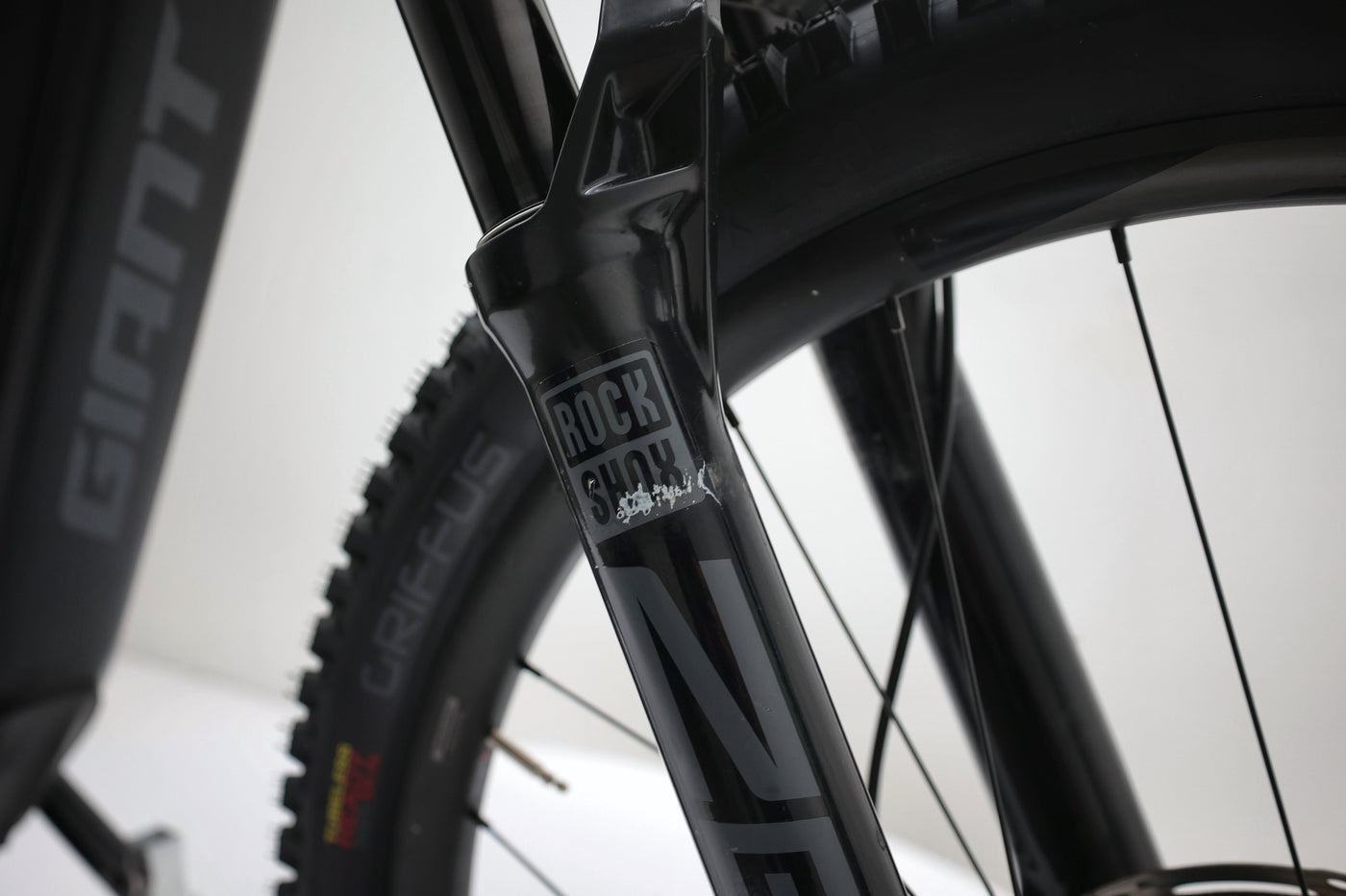 GIANT Reign E+ 2 2022 T.M