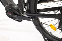 ADVANCED E-BIKE Trekking Pro Mixed 2023 T.45
