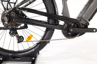 ADVANCED E-BIKE Trekking Pro Mixed 2023 T.45