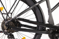 ADVANCED E-BIKE Trekking Pro Mixed 2023 T.45