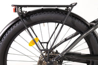 ADVANCED E-BIKE Trekking Pro Mixed 2023 T.45