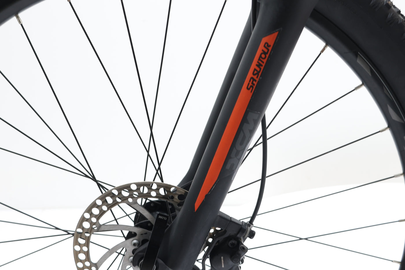 MEGAMO Ridon 10 2023 T.M