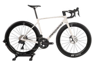 MEGAMO Raise 03 2026 T.M