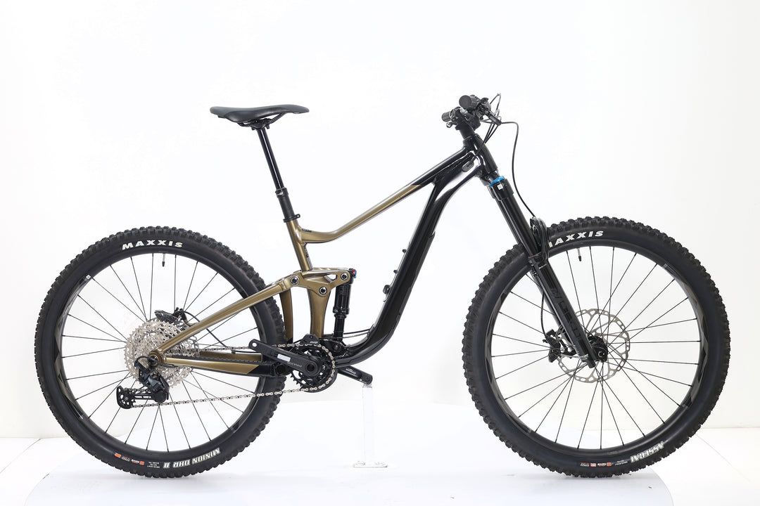GIANT Reign 2 2024 T.M