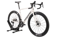 MEGAMO Raise 03 2026 T.M