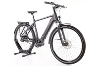 ROSE Xtra Watt Evo Plus 3 2024 T.L