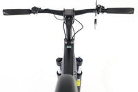ROSE Xtra Watt Evo Plus 3 2024 T.L