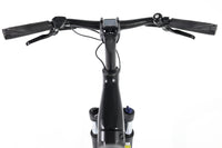 ROSE Xtra Watt EVO Plus 3 LowStep 2024 T.48