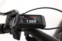 VÉLO DE VILLE Seb 990 2024 T.53