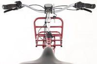 GAZELLE Miss Grace C7+ 2022 T.L