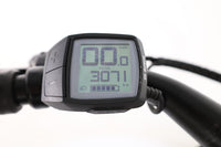 STAIGER CB100 2023 T.S
