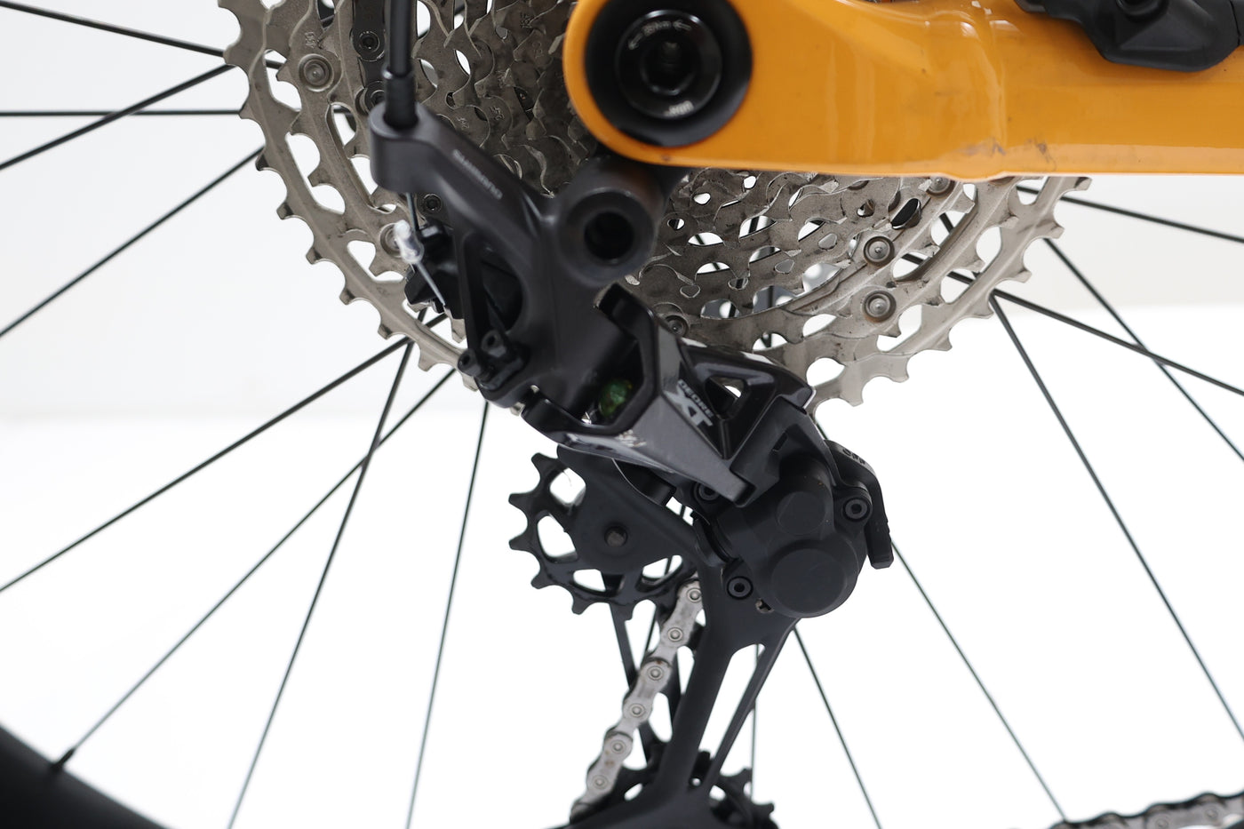 ORBEA WILD H30 2023 T.S