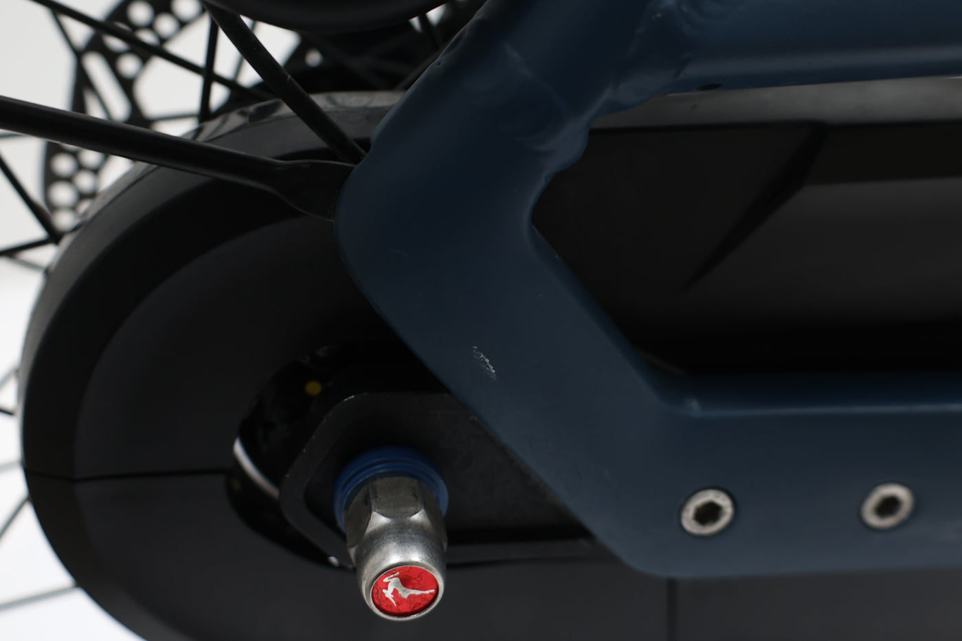 GAZELLE Bloom C7 HMS 2022 T.49