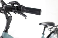 GAZELLE Arroyo C5 HMB Elite 2023 T.L