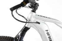 HAIBIKE Alltrack 9 29 2023 T.M