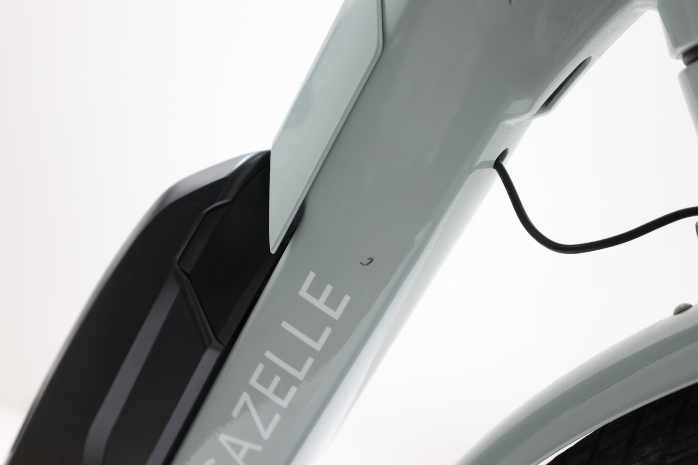 GAZELLE BLOOM C7 2022 T.53