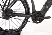 ROSE Xtra Watt Evo Plus 3 2024 T.L