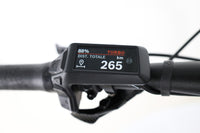 CUBE Stereo Hybrid ONE22 Pro 600 2025