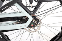 GAZELLE Bloom C310 2023 T.L
