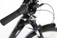 BIANCHI City E-Bike E-Omnia C Type 2022 T.L