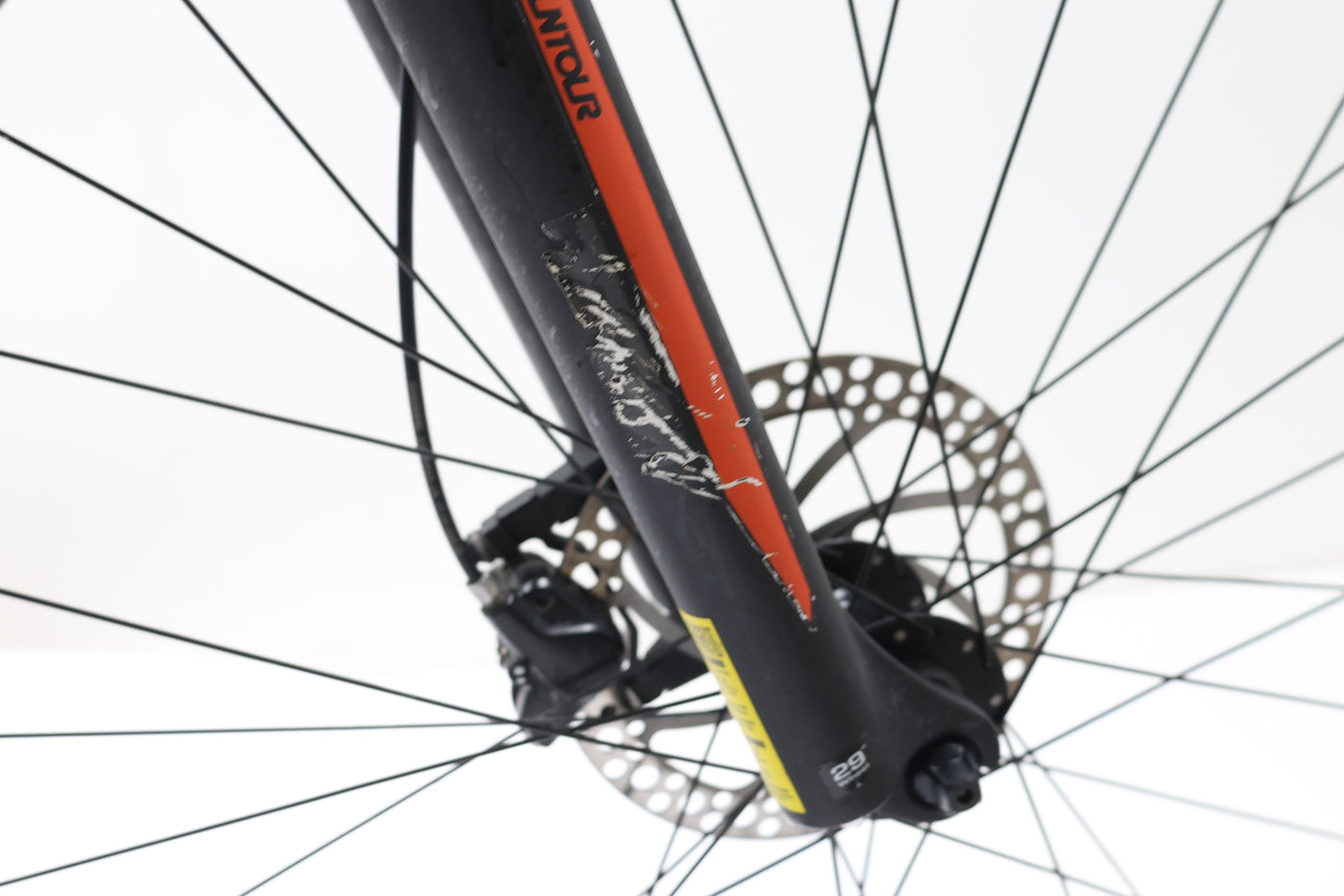 MEGAMO Ridon 10 2023 T.M