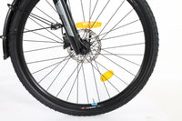 GIANT Entour E+ 1 RT 2020 T.XS