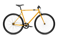 ELOPS 500 Orange tournesol