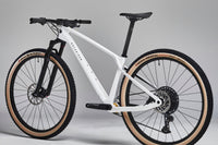ROCKRIDER Cross Country Race 900 GX Eagle