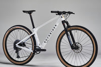 ROCKRIDER Cross Country Race 900 GX Eagle