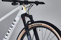 ROCKRIDER Cross Country Race 900 GX AXS