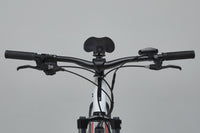 ROCKRIDER E-ST 100