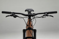 ROCKRIDER E-Explore 700 S