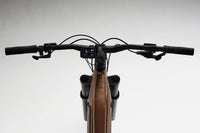 ROCKRIDER E-Explore 700 S