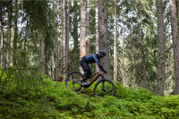 ROCKRIDER E-Explore 700 S