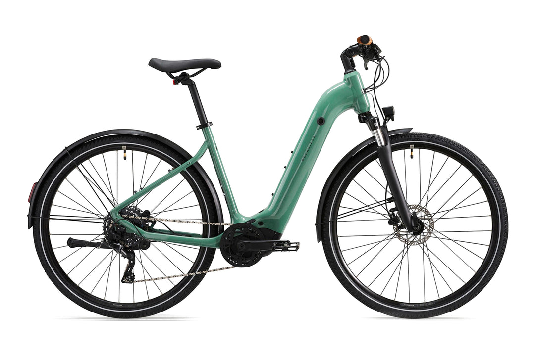 ROCKRIDER E-ACTV 500 Vert eucalyptus