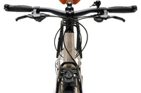 ROCKRIDER ADVT 900
