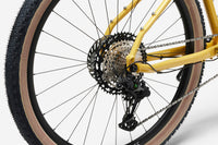 ROCKRIDER ADVT 920
