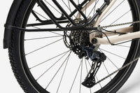 ROCKRIDER ADVT 900