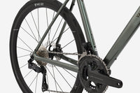 VAN RYSEL EDR CF ULTRA Vert kaki cendré