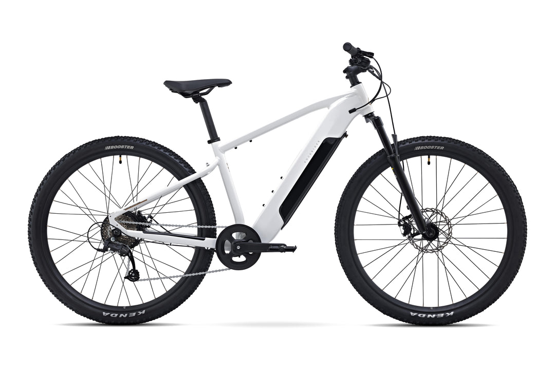 ROCKRIDER E-Explore 100
