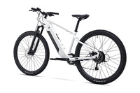 ROCKRIDER E-Explore 100