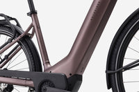 ROCKRIDER E-ACTV 900 Marron quartz