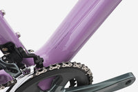 VAN RYSEL EDR CF Violet glycine