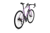 VAN RYSEL EDR CF Violet glycine
