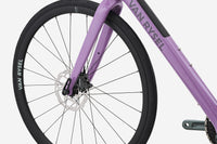 VAN RYSEL EDR CF Violet glycine