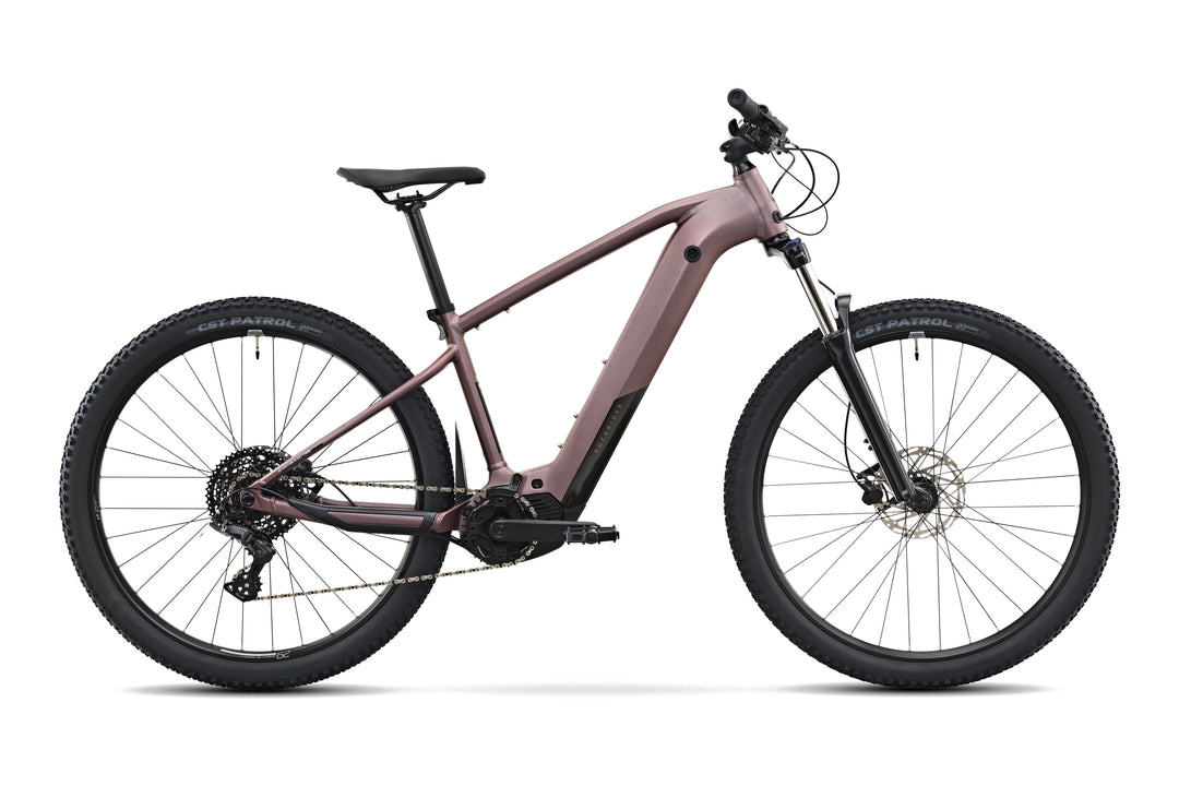 ROCKRIDER E-Explore 500