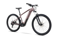 ROCKRIDER E-Explore 500