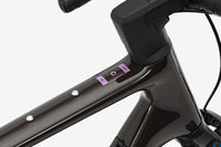 VAN RYSEL EDR-G CF Marron